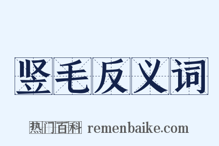 竖毛反义词是什么意思的图片